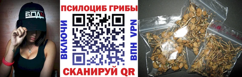 Псилоцибиновые грибы ЛСД  Дубна 