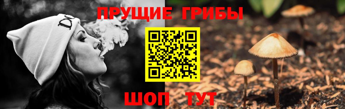 Галлюциногенные грибы Psilocybe  Псилоцибиновые грибы мицелий  Дубна  Вход с VPN 