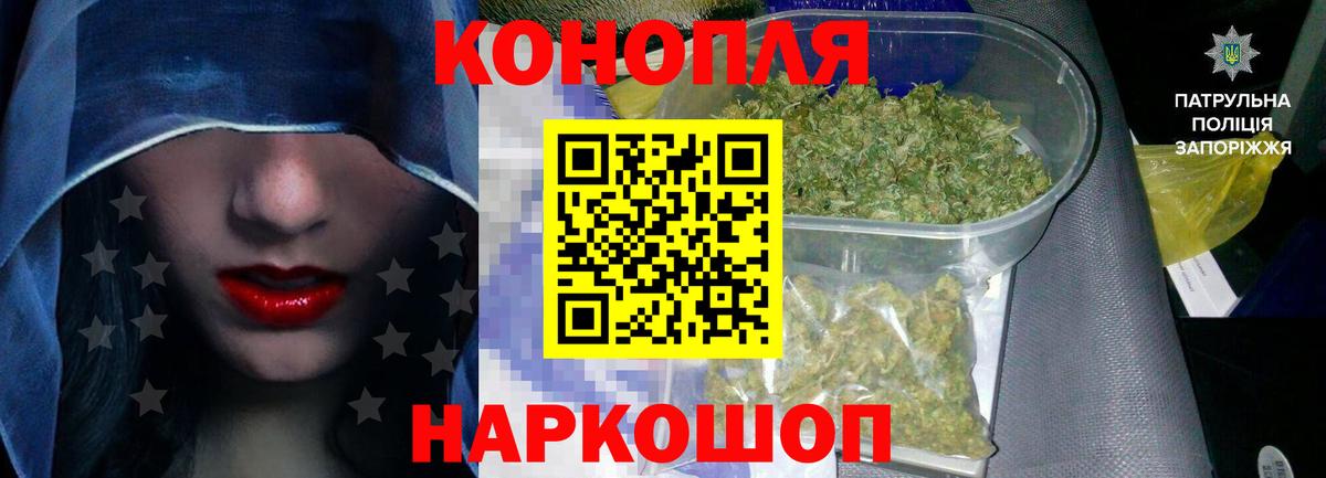 Бошки Шишки индика Дубна
